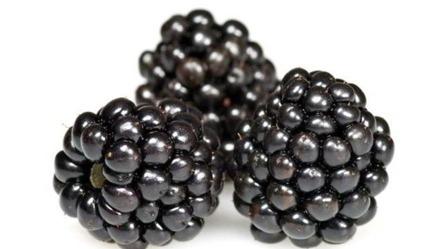 Рецепт киселя из ежевики