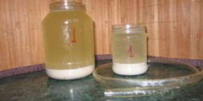 Рецепт киселя из овса для печени