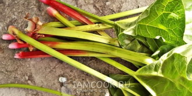 Рецепт киселя из ревеня