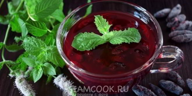 Рецепт киселя из жимолости