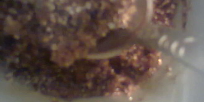 Рецепт холодного кофе