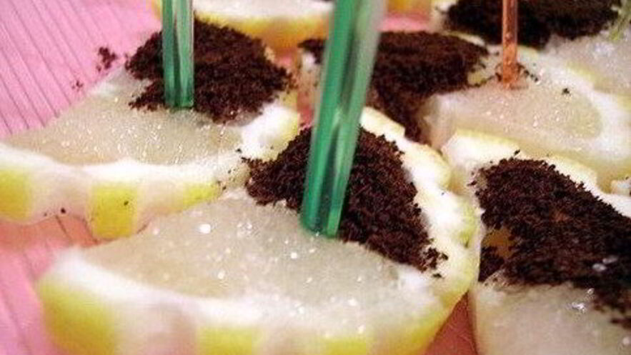 Рецепт лимонных ломтиков с кофе