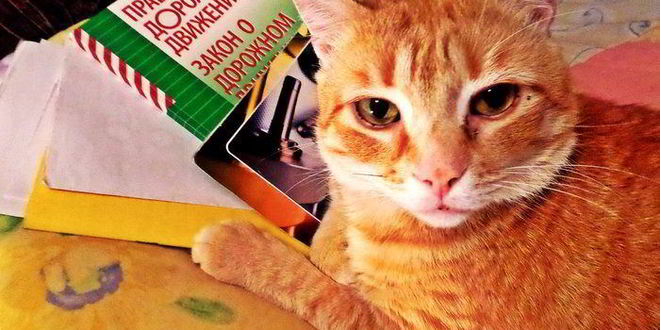 Рецепт кофейного напитка на льняной муке