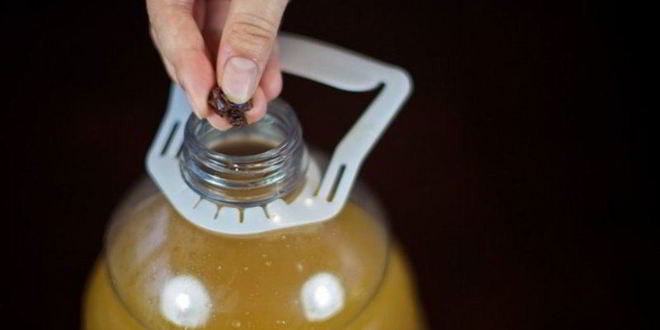 Рецепт домашнего кваса