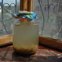 Домашний овсяный квас