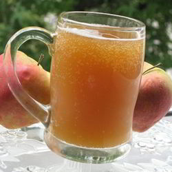 Рецепт Кваса из березового сока с сухофруктами