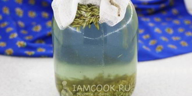 Рецепт кваса из овса