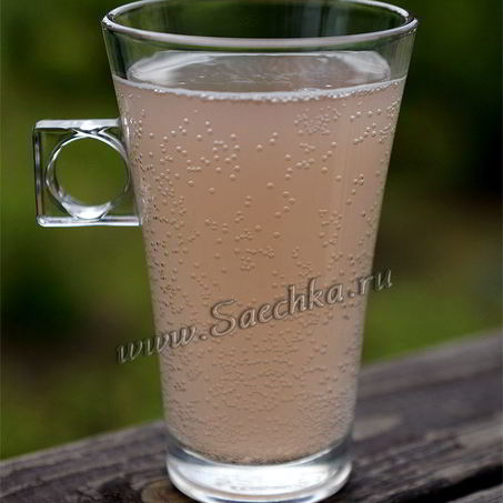 Рецепт Кваса из ревеня