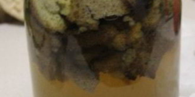 Рецепт кваса из ржаного хлеба