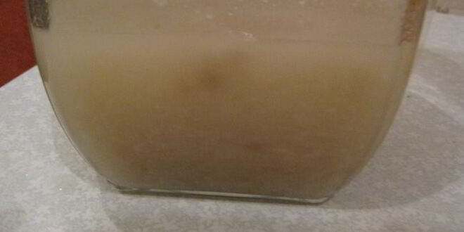 Рецепт кваса хлебного