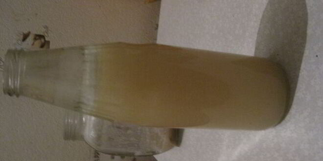 Рецепт кваса хлебного