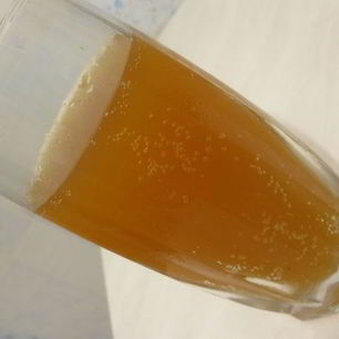 Рецепт Кваса на солоде