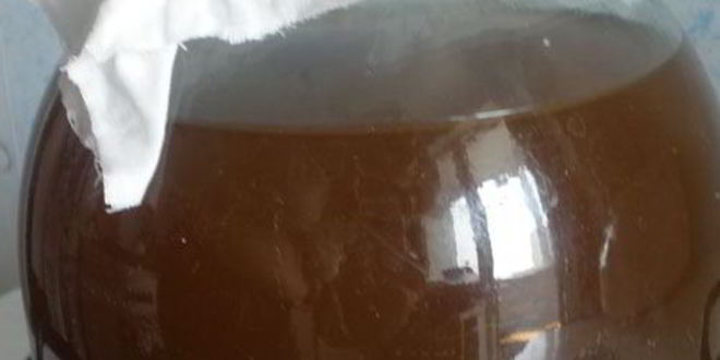 Рецепт кваса на солоде