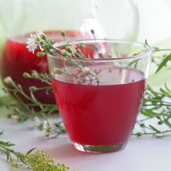 Рецепт Ликера дачного