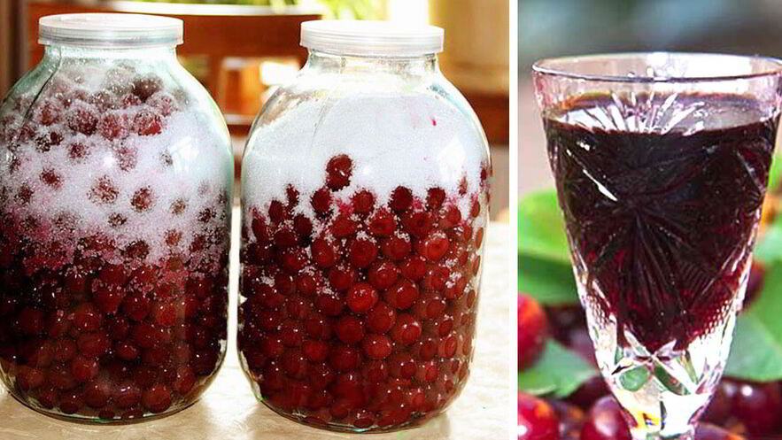 Рецепт вишневого ликера