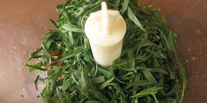 Рецепт лимонада тархун