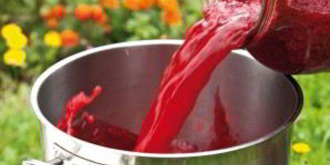 Рецепт малинового вина