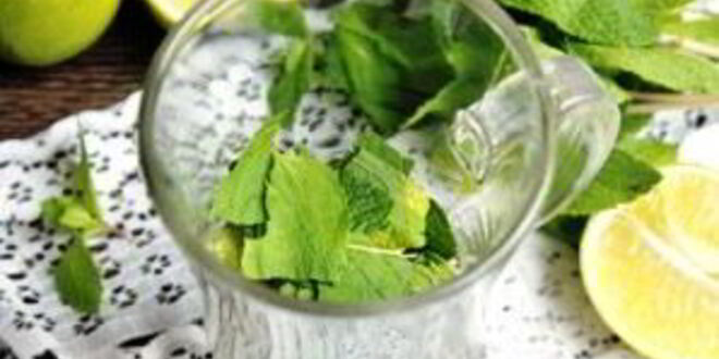 Рецепт безалкогольного мохито