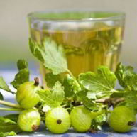 Рецепт Наливки из крыжовника