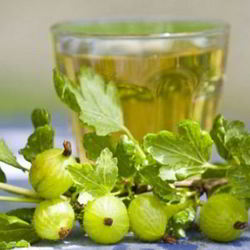 Рецепт Наливки из крыжовника