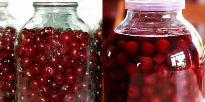 Рецепт вишневой наливки