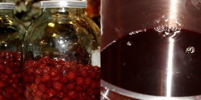 Рецепт вишневой наливки