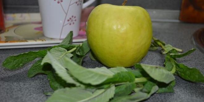 Рецепт напитка с мелиссой и крыжовником