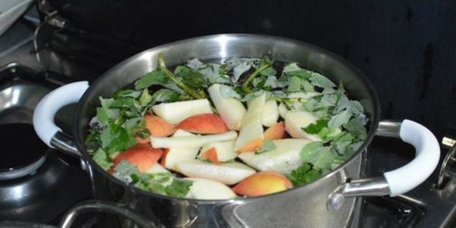 Рецепт напитка с мелиссой и крыжовником