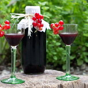 Рецепт Настойки из черной смородины