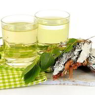 Рецепт Настойки на березовых почках