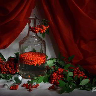 Рецепт Рябиновой настойки на водке