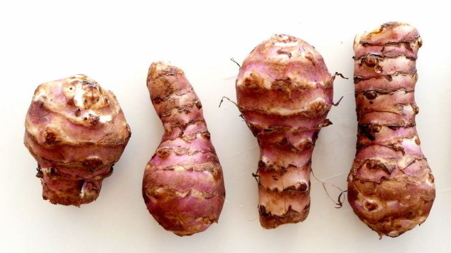 Рецепт сиропа из топинамбура