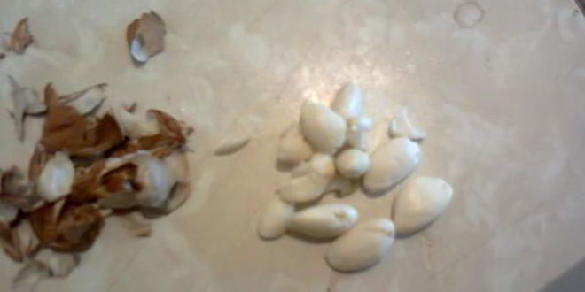 Рецепт смузей с абрикосом и персиком