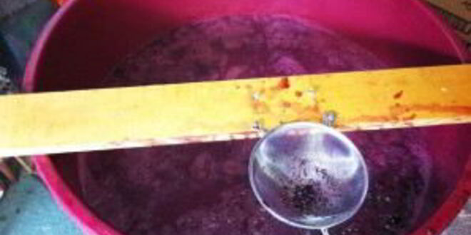 Рецепт вина из изабеллы