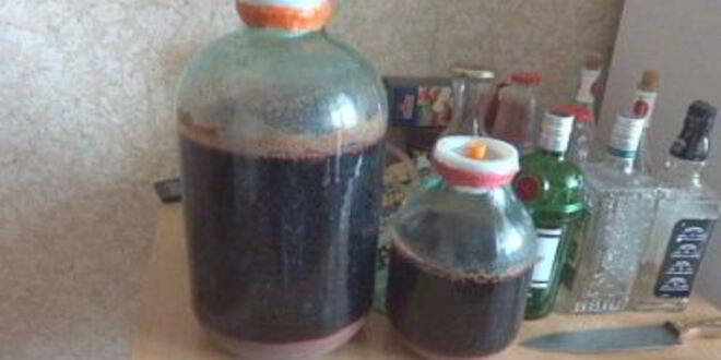 Рецепт вина из изабеллы