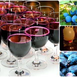 Рецепт Вина из сливы с сахаром