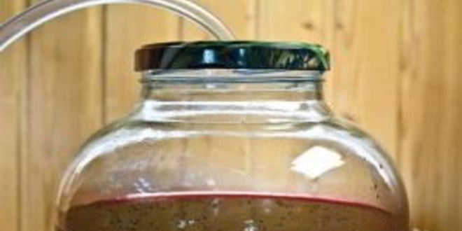 Рецепт вина из вишни без дрожжей