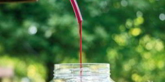 Рецепт вина из вишни без дрожжей