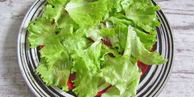 Рецепт салата греческого с курицей