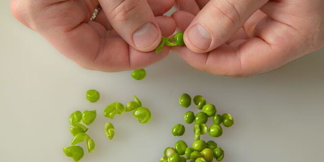 Рецепт говяжьего языка с оливье