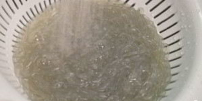 Рецепт салата фунчоза по-корейски