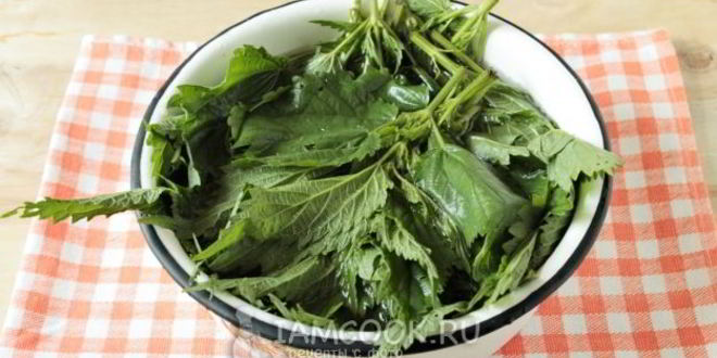 Рецепт салата из крапивы с мясом