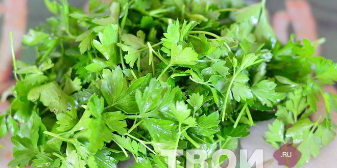 Рецепт салата из стручковой фасоли