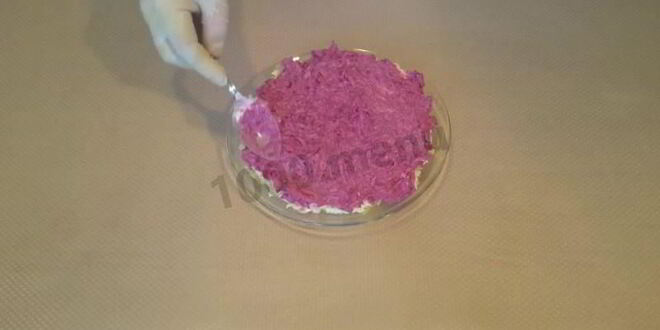 Рецепт сельди под шубой с яблоком