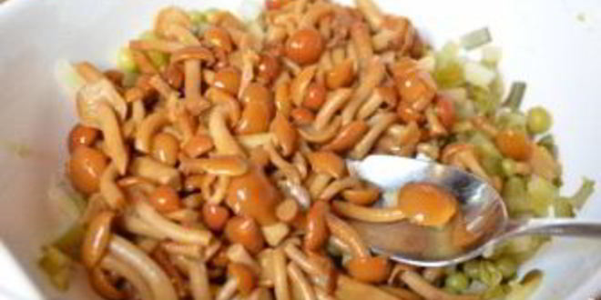 Рецепт салата с курицея и опятами