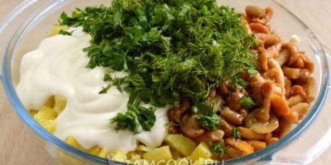 Рецепт салата с маринованными опятами и куриной грудкой