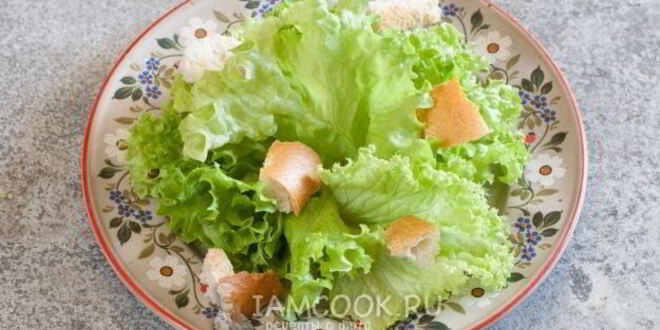 Рецепт итальянского цезаря с курицей