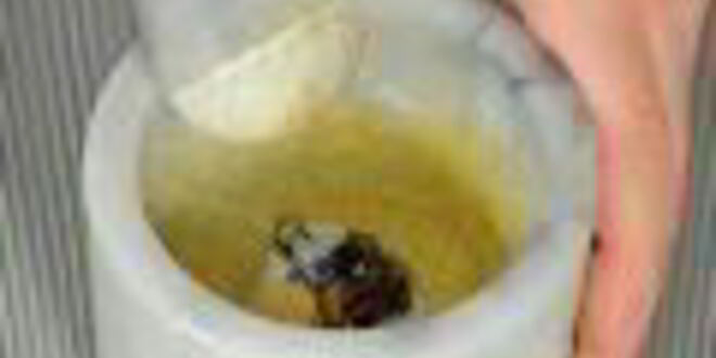 Рецепт салата цезарь с индейкой на гриле