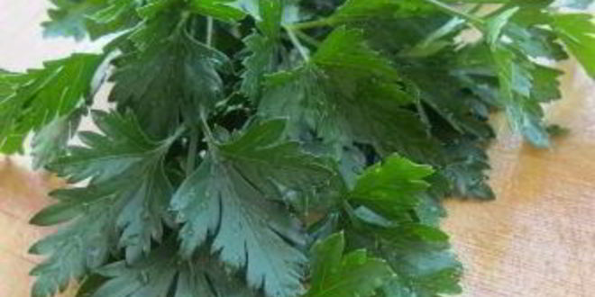 Рецепт дипа из запеченных баклажанов и перца