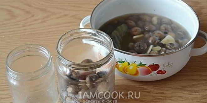 Рецепт маринада для грибов